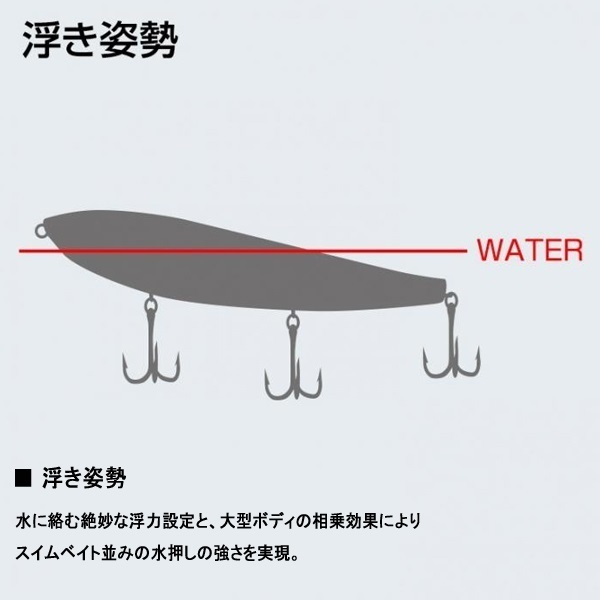 アマゾン ボーンモデル